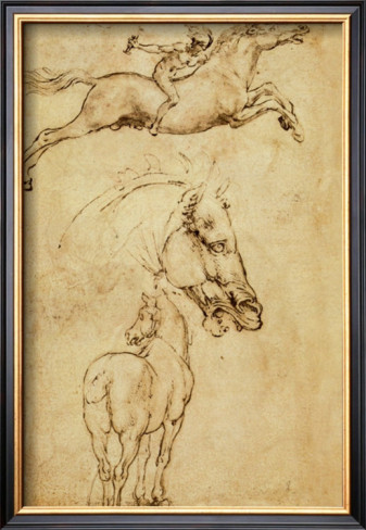 Sketch of a Horse By Leonardo Da Vinci